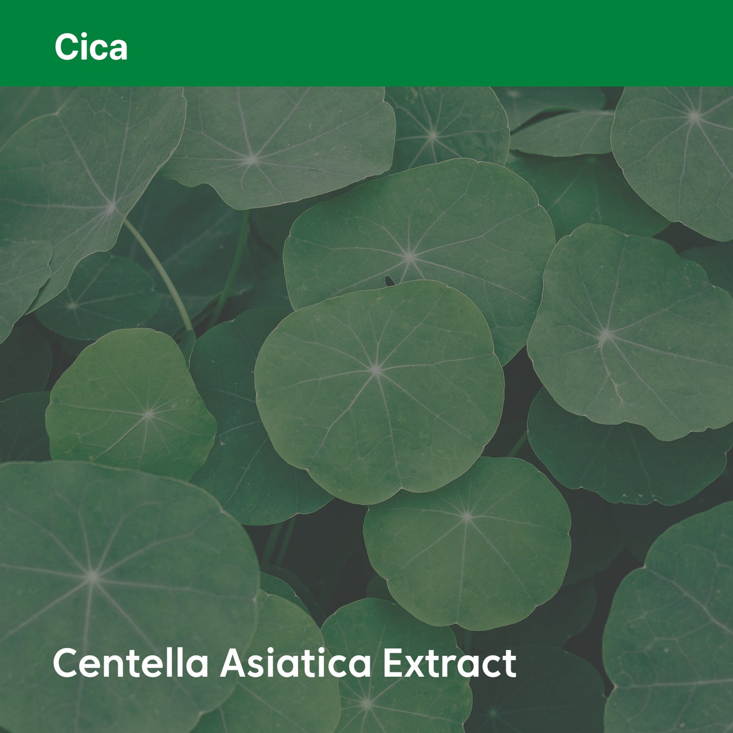 Phyto Relieful™ Cica Cream 80ml